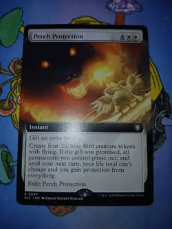 1x Perch Protection - Extended Art BLC NM MTG - Image 2