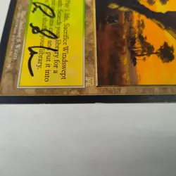 MTG Windswept Heath Onslaught - Signed by Artist Anthony Scott Waters - Image 3