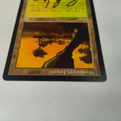 MTG Windswept Heath Onslaught - Signed by Artist Anthony Scott Waters - Image 4