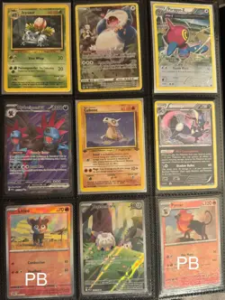 Pokemon TCG SIR SECRET HOLO RARE 45 CARD LOT PERSONAL COLLECTION MUST HAVE NM - Image 3