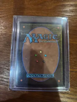 MTG Traveling Chocobo Borderless Foil Card Final Fantasy - Image 2