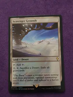 Scavenger Grounds Surge Foil - FIC 0419 NM - MTG Magic - Image 1