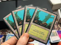 4x German Fbb Forest • NM • Basic Land • Mtg (2192) - Image 1