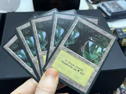 5x German Fbb Forest • Unplayed / Mostly Clean • Basic Land • Mtg - Image 1
