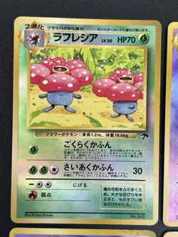 [No Import Duty (US)] 6set Southern Islands Rainbow Tropical Holo Complete Card - Image 4