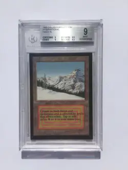BGS 9 | Taiga | MtG Collectors International Ed | [9, 8.5, 9, 9.5] - Image 1