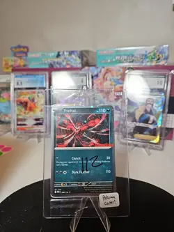 Yveltal (Game Stop Stamp) 088/132 Miscellaneous Cards Holo Pokemon Tcg SEALED - Image 1