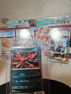 Yveltal (Game Stop Stamp) 088/132 Miscellaneous Cards Holo Pokemon Tcg SEALED - Image 3