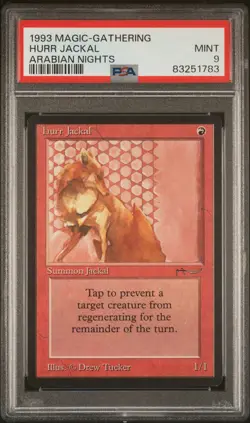 Hurr Jackal - Arabian Nights - MTG - MINT - PSA 9. - Image 1