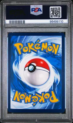 PSA 10 GEM MINT Charizard VMAX 079/S-P Rainbow Box PROMO S-Chinese Pokemon Card - Image 2