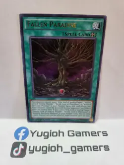 Yu-Gi-Oh Fallen Paradise 1st Edition DUSA Ultra Rare Light Played - Image 1