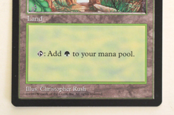 Magic The Gathering (MTG) APAC Land - FORREST - Blue Booster - 1997 - NPW - Image 3
