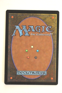 Magic The Gathering (MTG) APAC Land - FORREST - Blue Booster - 1997 - NPW - Image 4