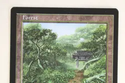 Magic The Gathering (MTG) APAC Land - FORREST - Clear Booster - 1997 - NPW - Image 2