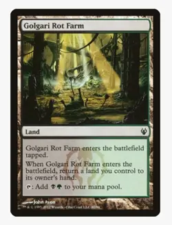 Golgari Rot Farm | MTG Duel Decks: Golgari | EDH & Pauper Staple | LP - Image 1