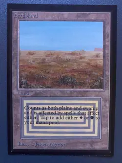 MTG Scrubland (IE) International Edition Regular - Image 1