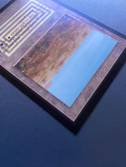 MTG Scrubland (IE) International Edition Regular - Image 3