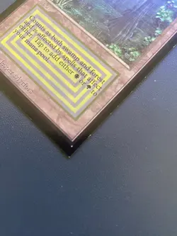 MTG Bayou (IE) International Edition Regular - Image 2