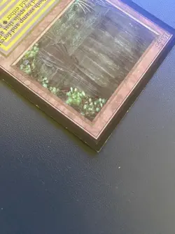 MTG Bayou (IE) International Edition Regular - Image 3