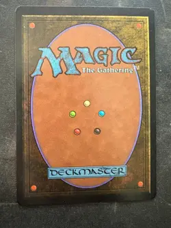 ** BETA Swamp (C - Two Branches) ** Clean, Binder Ding - DUTY FREE - Magic MtG - Image 2