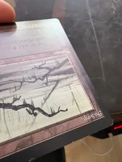 ** BETA Swamp (C - Two Branches) ** Clean, Binder Ding - DUTY FREE - Magic MtG - Image 3
