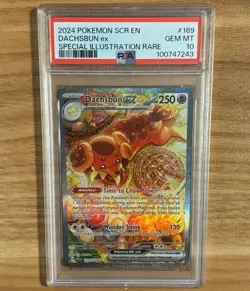 2024 Pokemon Stellar Crown Special Illustration Rare Dachsbun Ex #169 PSA 10 - Image 1