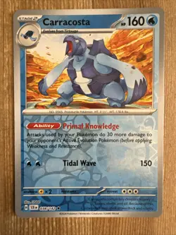 Carracosta 038/142 Reverse Holo Pokemon TCG: Stellar Crown Near Mint (NM) - Image 1