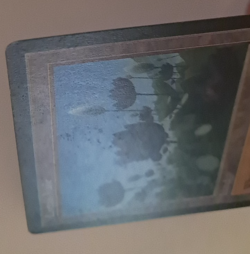 Lotus Vale MP MTG Magic the Gathering Weatherlight Reserved List - Image 3