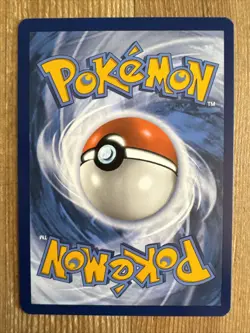 Riolu 081/142 Reverse Holo Pokemon TCG: Stellar Crown Near Mint (NM) - Image 2