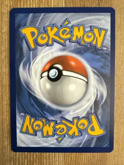Bouffalant 119/142 Holo Pokemon TCG: Stellar Crown Near Mint (NM) - Image 2