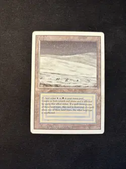 Tundra Revised Edition Mtg HP - Image 1