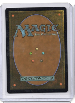 Blood Crypt (Foil) (Borderless) - Unfinity - LP - Magic the Gathering MTG - Image 2