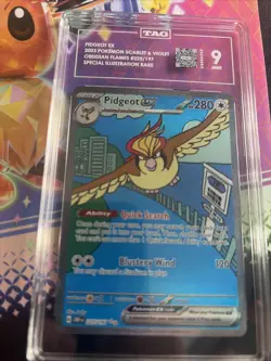 2023 Pokemon OBF EN Pidgeot ex 225 Special Illustration Rare - TAG MINT 9 - Image 1