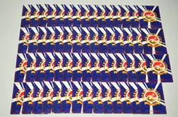 Pokemon card LOT 59 Neo Genesis Old Back Japanese Chikorita Pikachu Magby etc... - Image 2