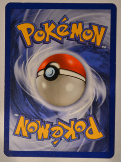 Pokemon TCG Moltres Fossil Holo Card 12/62 Base Set 1999 Wizards - Image 2