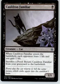 Cauldron Familiar - Throne of Eldraine - NM - #81 - Image 1