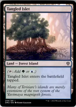 Dominaria United #258 Tangled Islet - Image 1