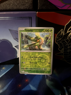 Scarlet and Violet Base Set! Choose Your Card! - Holos and Reverse Holos! - Image 4