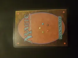 FOIL Hystrodon, Oldschool Rare Magic Mtg Karten Sammlung - Image 2