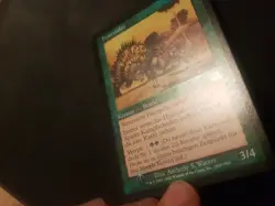 FOIL Hystrodon, Oldschool Rare Magic Mtg Karten Sammlung - Image 3