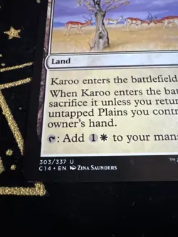 Karoo #303 (LP) Commander 2014 C14 Magic MTG - Image 2