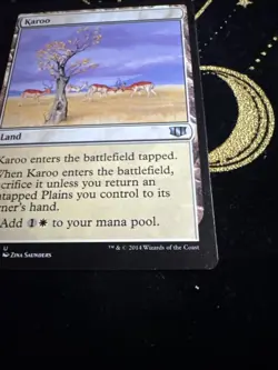 Karoo #303 (LP) Commander 2014 C14 Magic MTG - Image 3