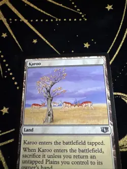 Karoo #303 (LP) Commander 2014 C14 Magic MTG - Image 4