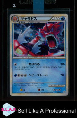 GYARADOS POKEMON 4 2009 PROMO RANDOM BASIC PACK HOLO JAPANESE - Image 1