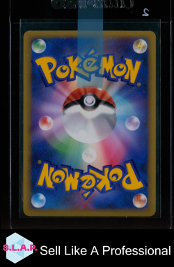 GYARADOS POKEMON 4 2009 PROMO RANDOM BASIC PACK HOLO JAPANESE - Image 2