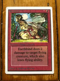 Earthbind - MTG - - Image 1