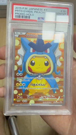 Pokemon PSA 10 Gyarados Pikachu 151/XY-P Promo Holo Giapponese 2015 - Image 2