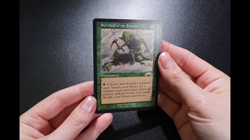 Survival of the Fittest Exodus Magic Card MTG Reserved List - Image 2