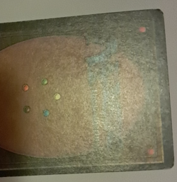 War Elephant MP/HP Arabian Nights MTG Magic the Gathering - Image 5