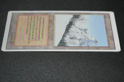 Taiga Magic Card Dual Land Revised MTG Reserved List - Image 5